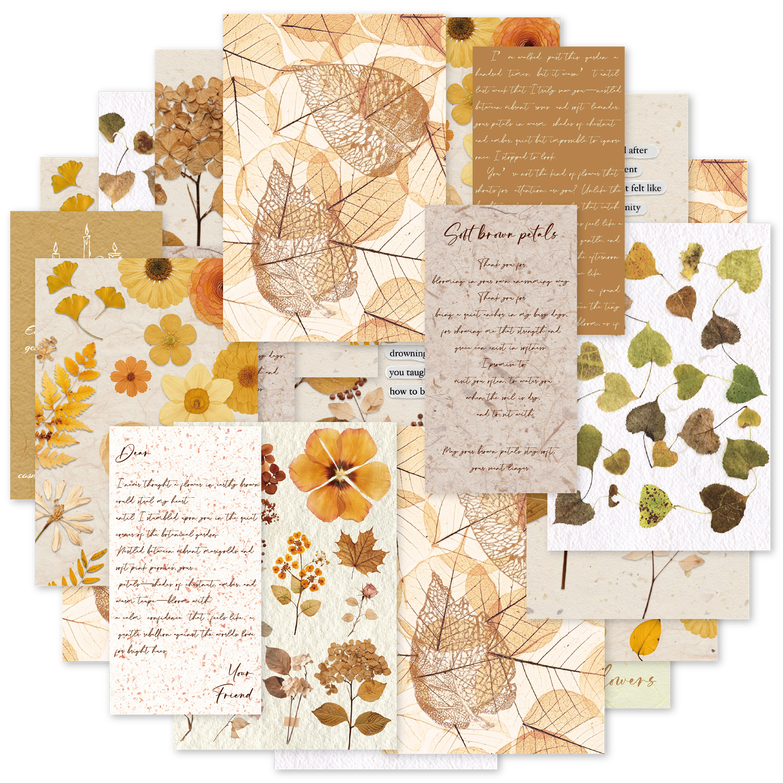 Etori Life 20Pcs Vintage Autum - مراجعة Korean Lifestyle Book وسعره